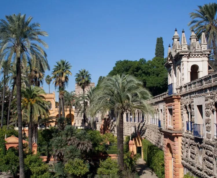Tour inside the Royal Alcazar + Seville Santa Cruz Jewish Quarter Tour