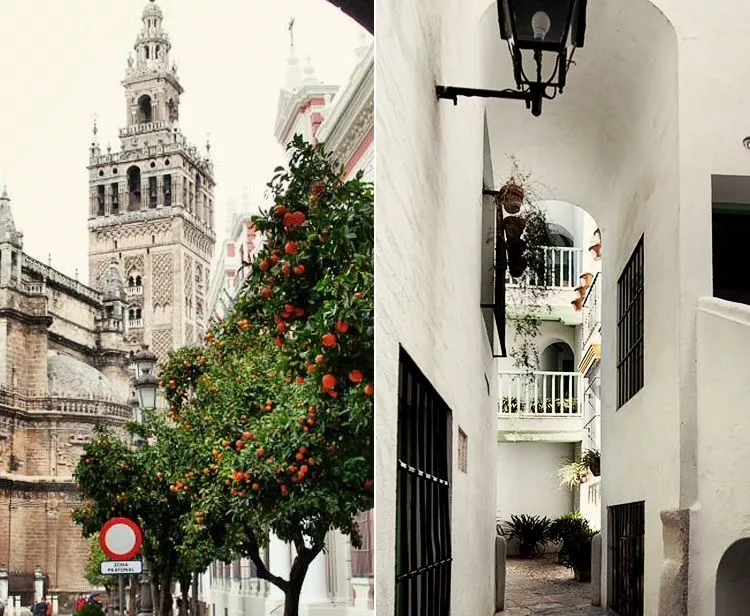 Seville Santa Cruz Jewish Quarter Tour + Tour inside the Cathedral & Giralda