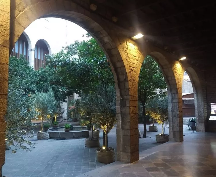 Walking tour of the Gothic Quarter of Barcelona