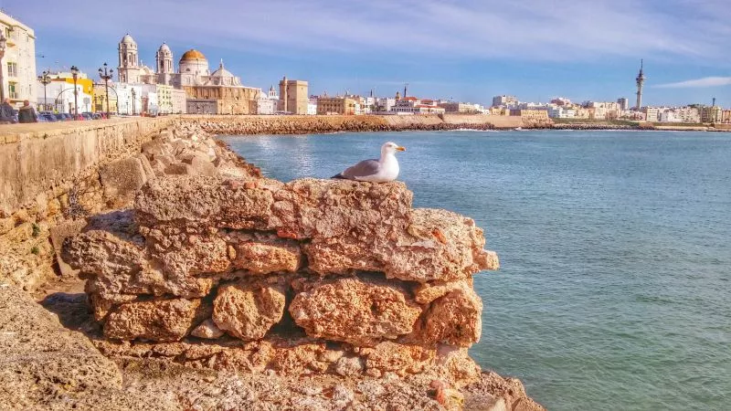 Tours en Cádiz