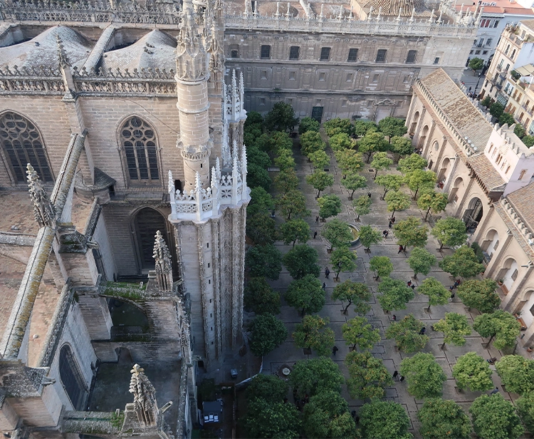 Entradas y Audioguía Catedral de Sevilla