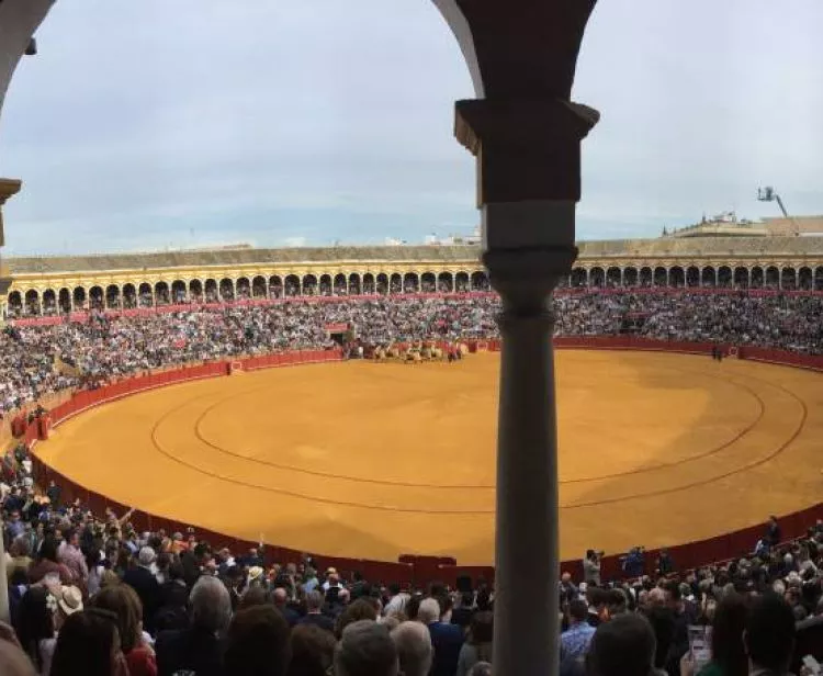 Visita Plaza de Toros de Sevilla