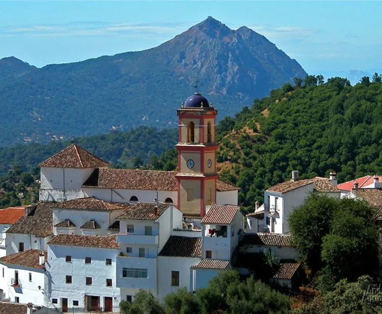 Excursión de un día de Jerez a los Pueblos Blancos (Ronda, Arcos...)