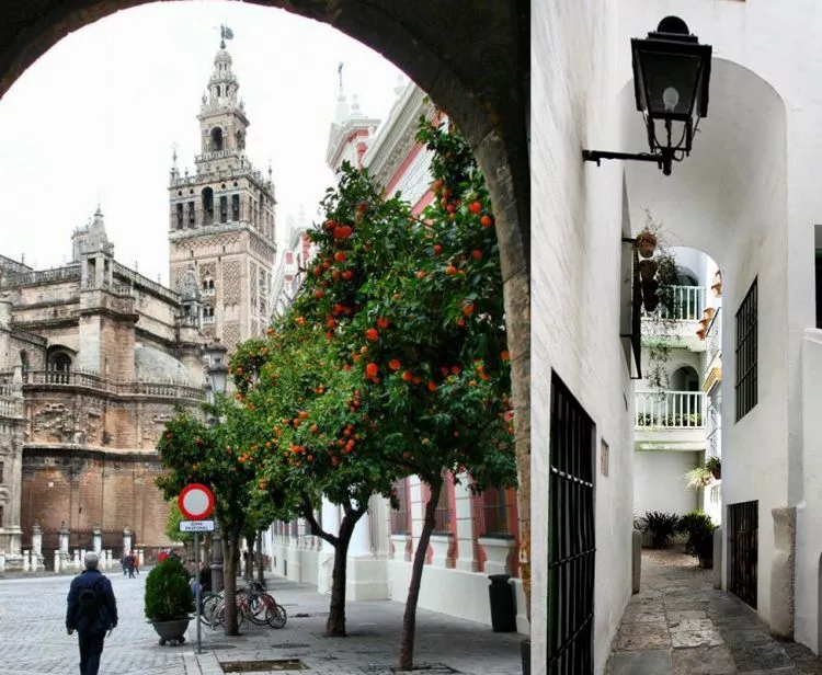 Tour Barrio Santa Cruz en Sevilla + Visita con guía a la Giralda y la Catedral de Sevilla