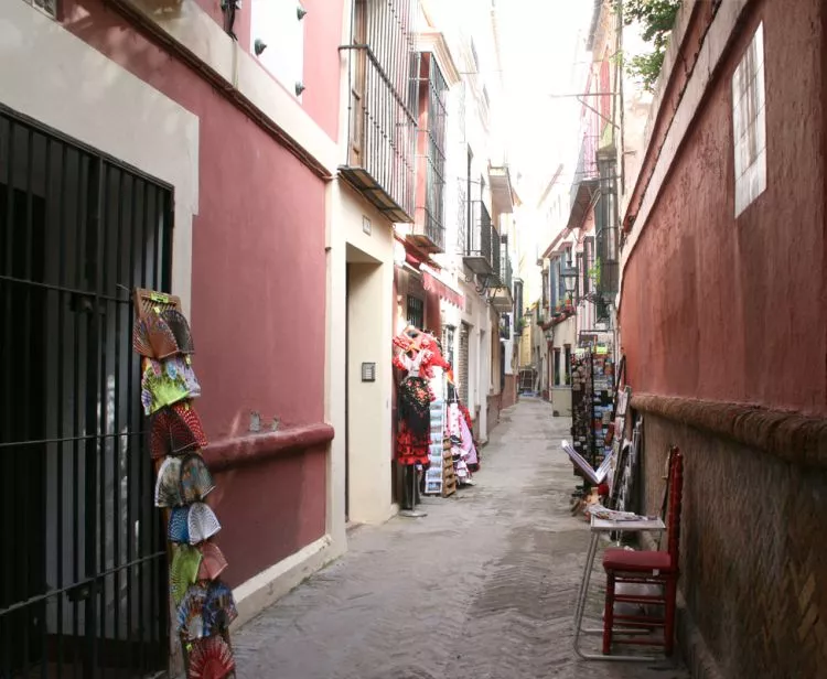 Tour Barrio Santa Cruz en Sevilla + Espectáculo de Flamenco en Sevilla