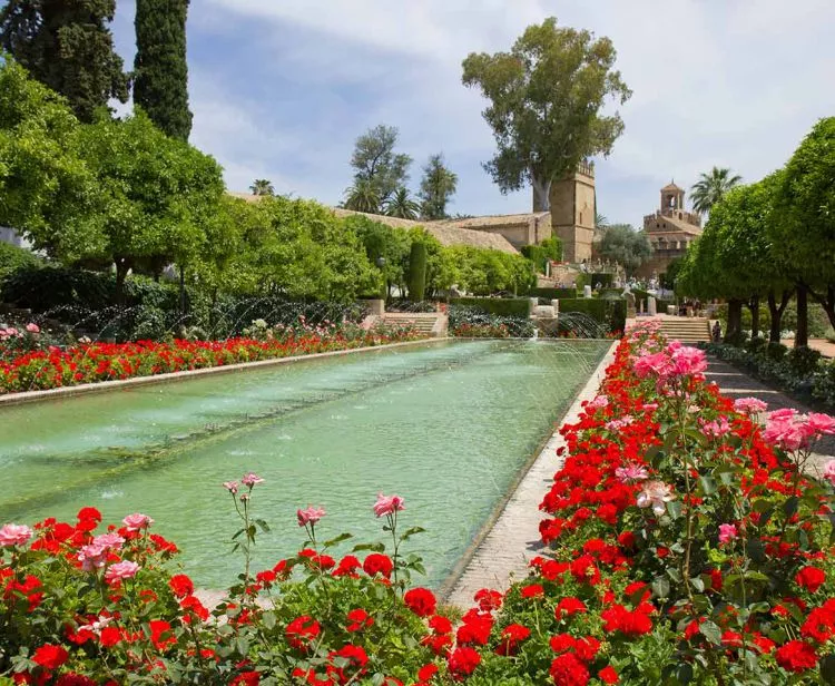 Tour Privado Córdoba antigua y Mezquita-Catedral