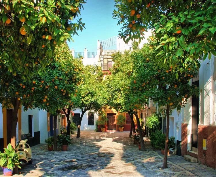 Tour Privado Santa Cruz y Plaza de España de Sevilla