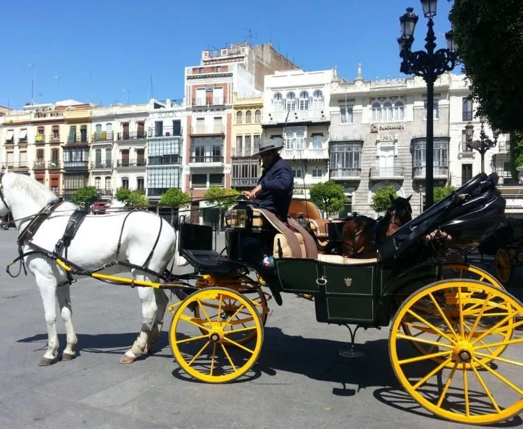 Paseo en coche de caballos con recogida en hotel del centro histórico