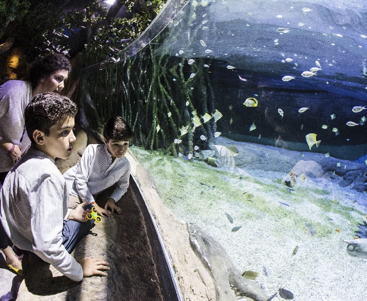 Acuario de Sevilla