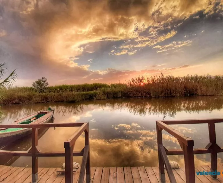 Excursión a la Albufera desde Valencia