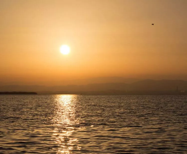 Excursión a la Albufera desde Valencia