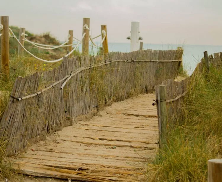 Excursión a la Albufera desde Valencia