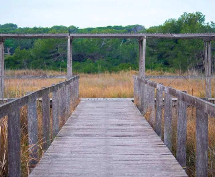 Excursión a la Albufera desde Valencia