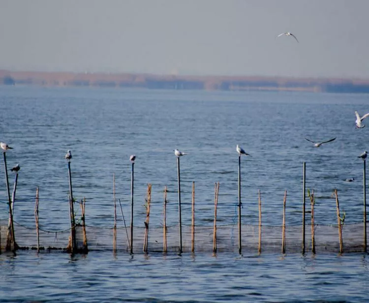 Excursión a la Albufera desde Valencia