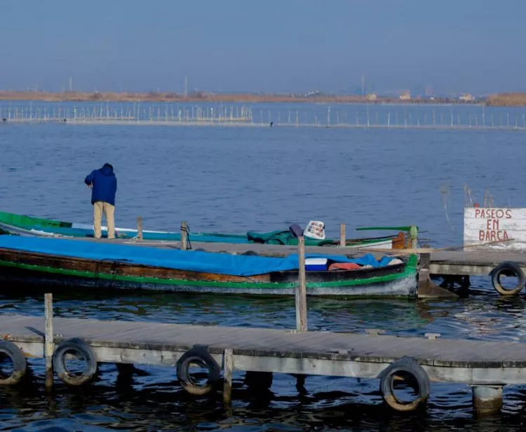 Excursión a la Albufera desde Valencia