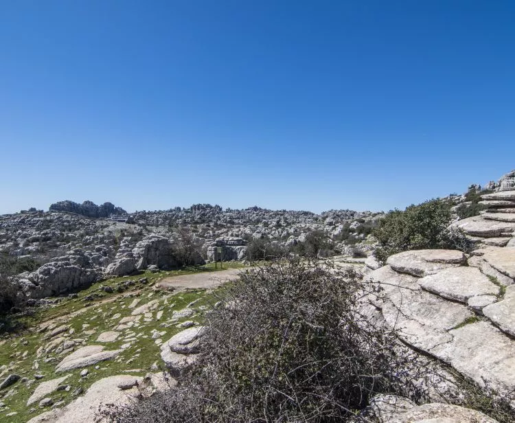 Excursiones desde Málaga