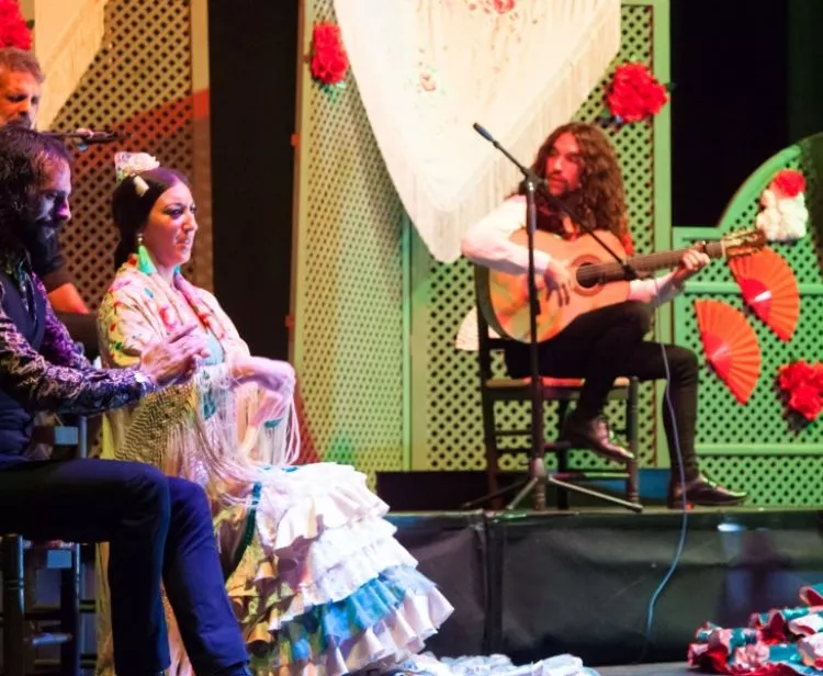 Flamenco Tour + Plaza de Toros 