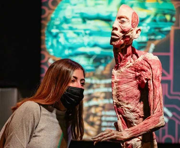 Exposición Human Bodies