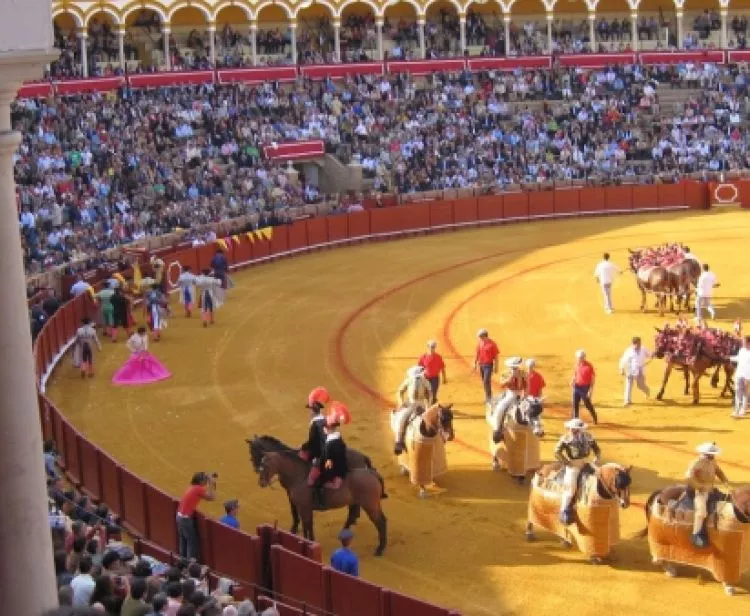 Flamenco Tour + Plaza de Toros 