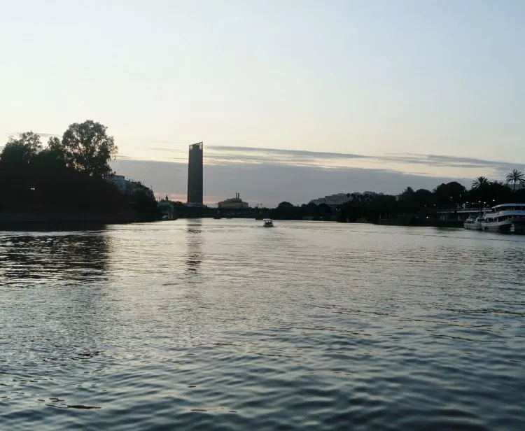 Excursión en grupo de Sevilla a Doñana y El Rocío