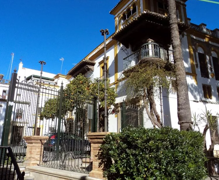 Barrio Santa Cruz + Plaza de Toros de Sevilla