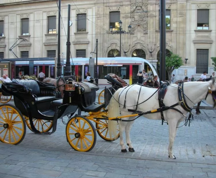 Paseo en coche de caballos con recogida en hotel del centro histórico