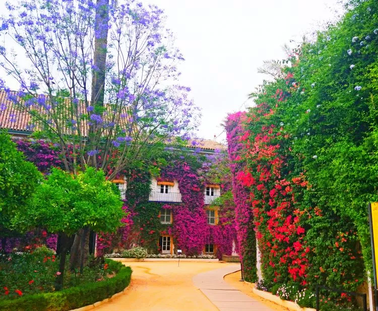 Entrada Palacio de Dueñas + Audioguía