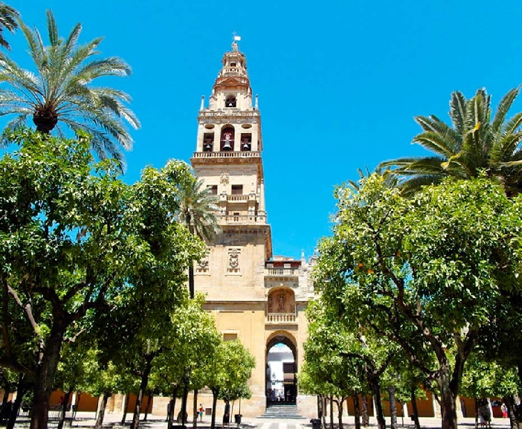 Excursión desde Sevilla a Córdoba con entradas a mezquita