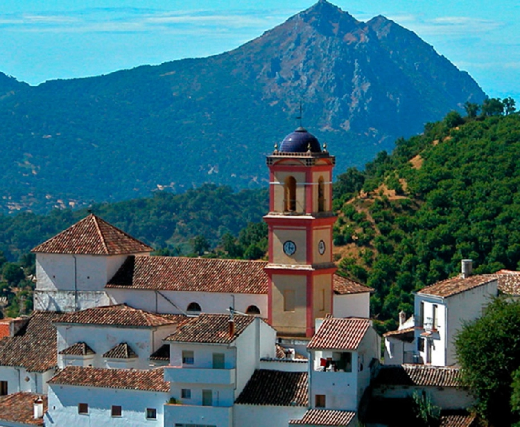 Excursión Pueblos Blancos desde Sevilla