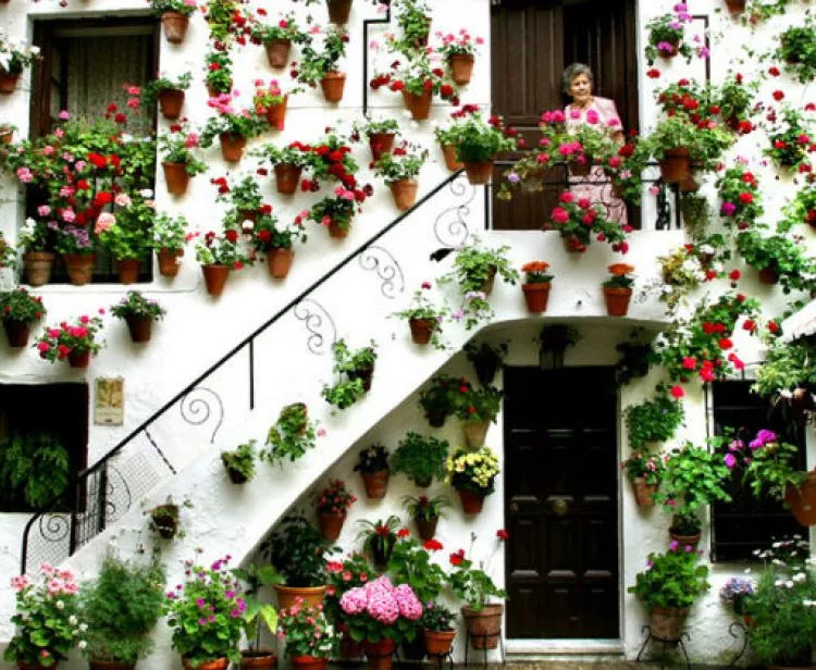 Visita guiada por los Patios de Córdoba