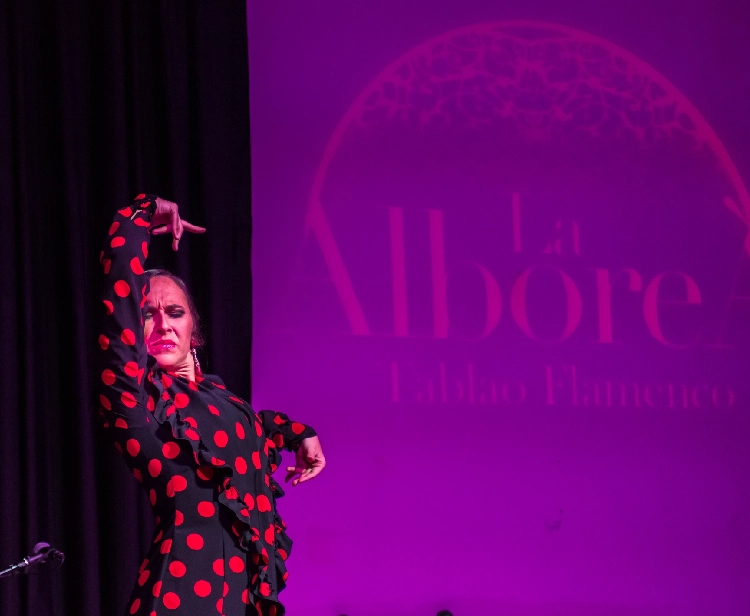 Flamenco en el Centro + Consumición
