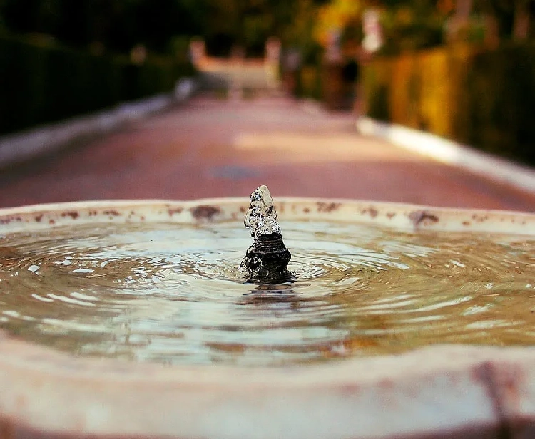 Fuente Real Alcázar de Sevilla