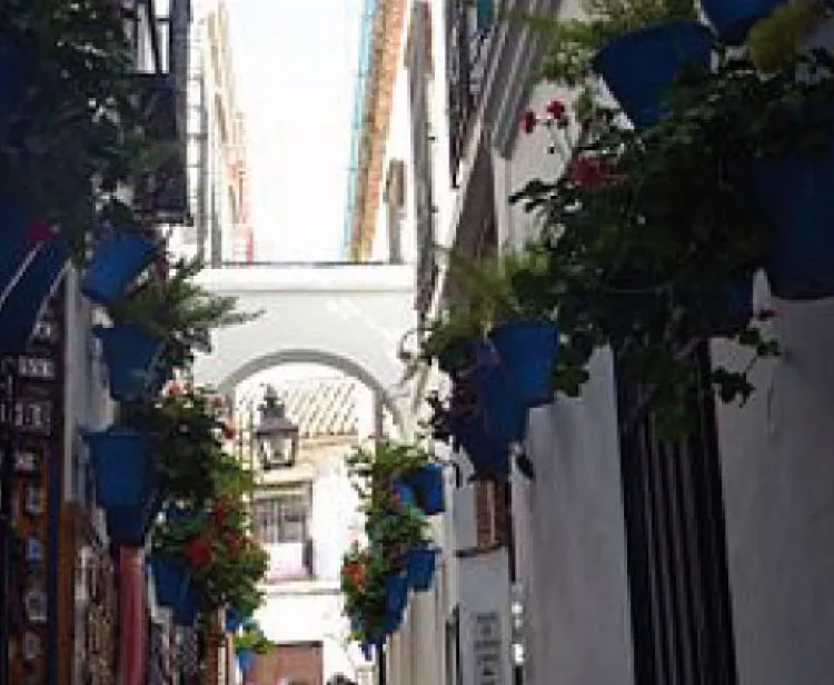 Tour Mezquita de Córdoba y Judería