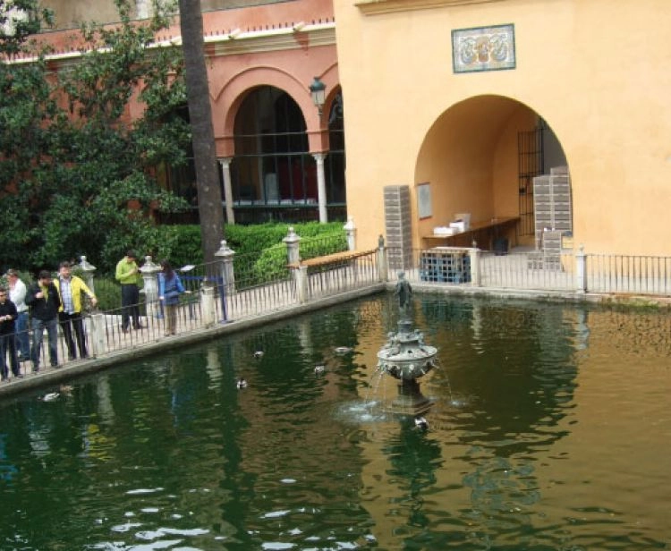 Tour privado al Real Alcázar de Sevilla