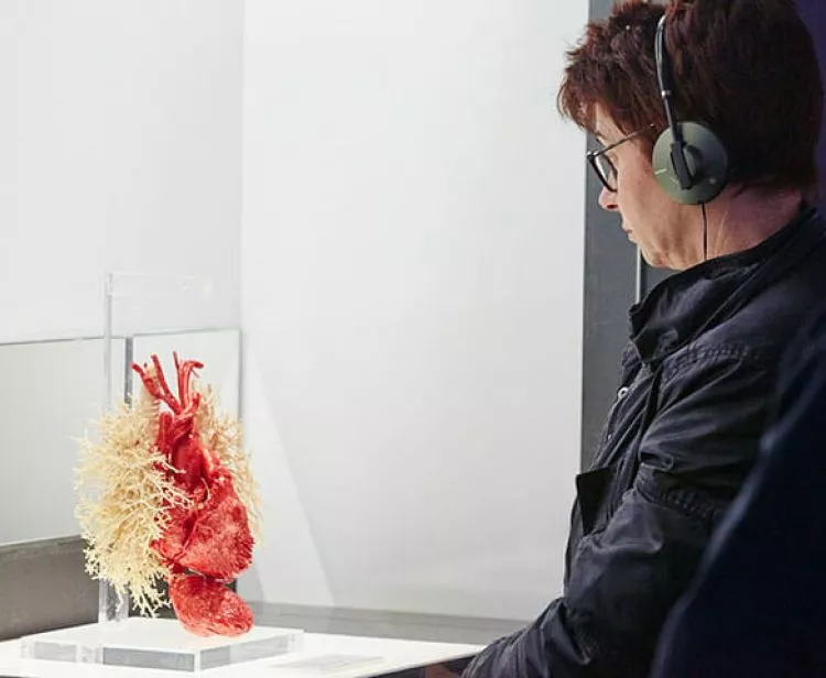 Exposición Human Bodies