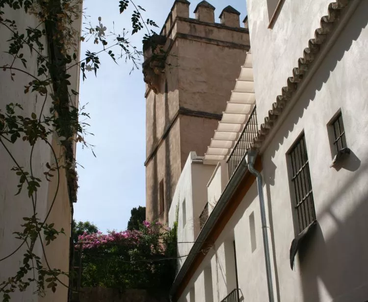 Tour Barrio Santa Cruz en Sevilla + Espectáculo de Flamenco en Sevilla