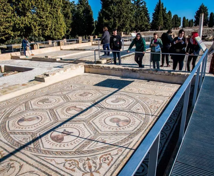 Excursión en grupo desde Sevilla a Italica