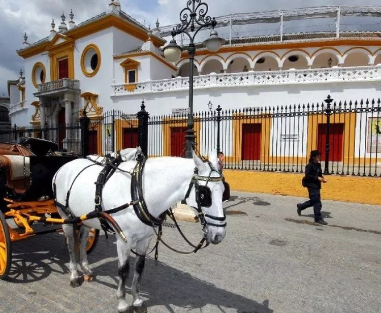 Paseo en coche de caballos con recogida en hotel del centro histórico
