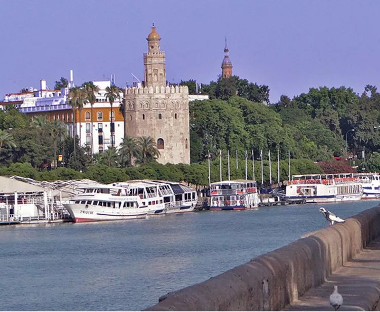 Excursión de un día de Málaga a Sevilla