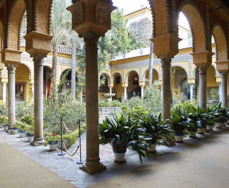 Entrada Palacio de Dueñas + Audioguía