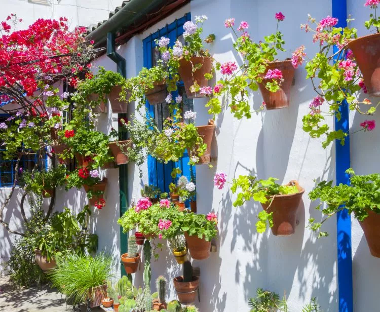 Visita guiada por los Patios de Córdoba