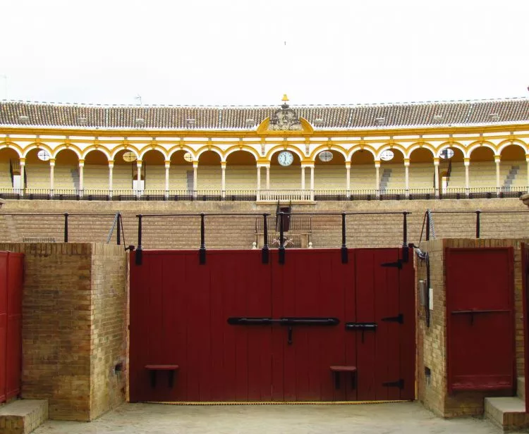 Museo de la plaza de toros de sevilla