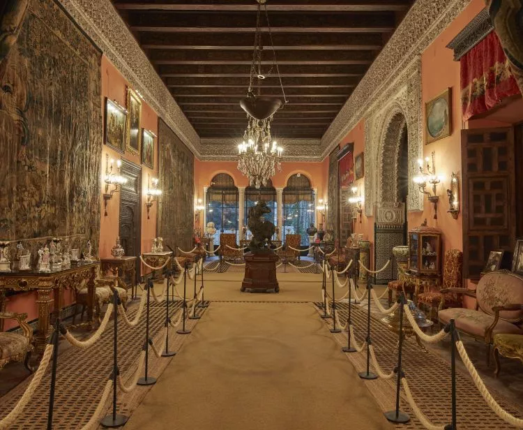 Entrada Palacio de Dueñas + Audioguía