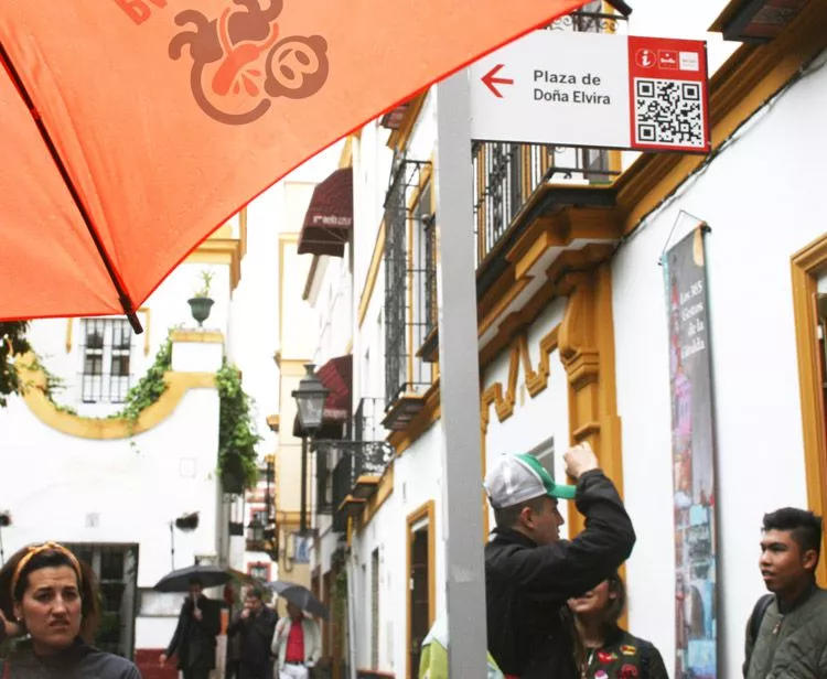 Tour Barrio Santa Cruz en Sevilla + Paseo en Barco por el Rio Guadalquivir en Sevilla