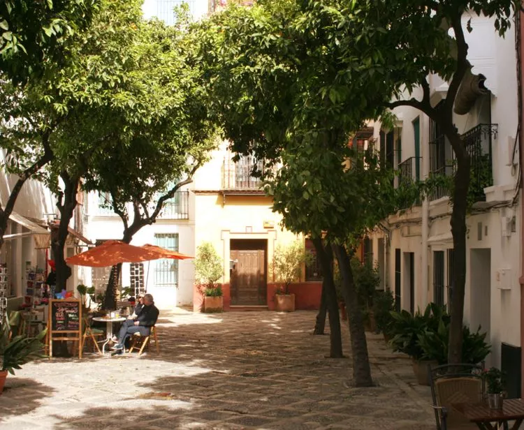 Visita con Guia al Alcázar de Sevilla + Tour Barrio Santa Cruz en Sevilla