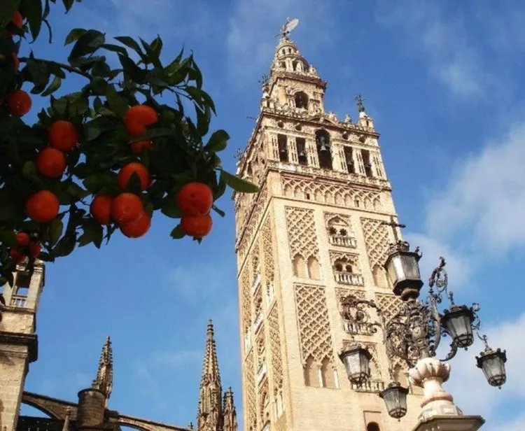 Catedral + Flamenco Show