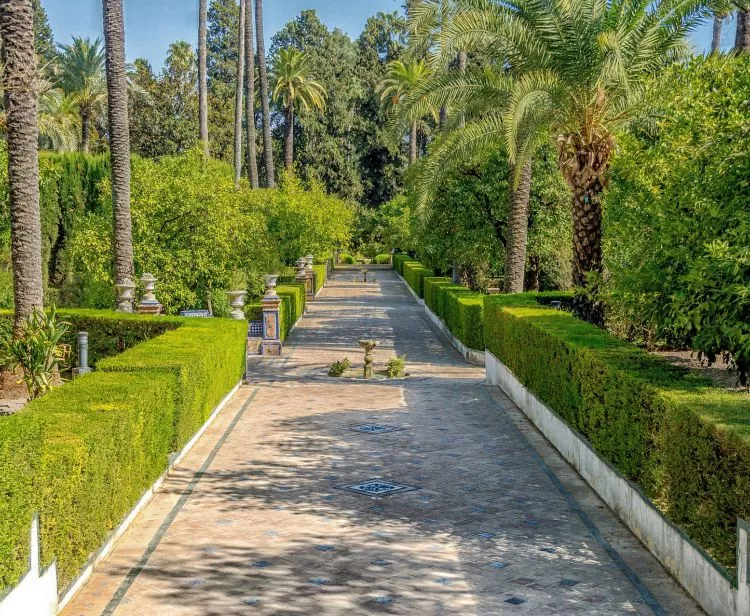 Visita con Guia al Alcázar y  Catedral de Sevilla