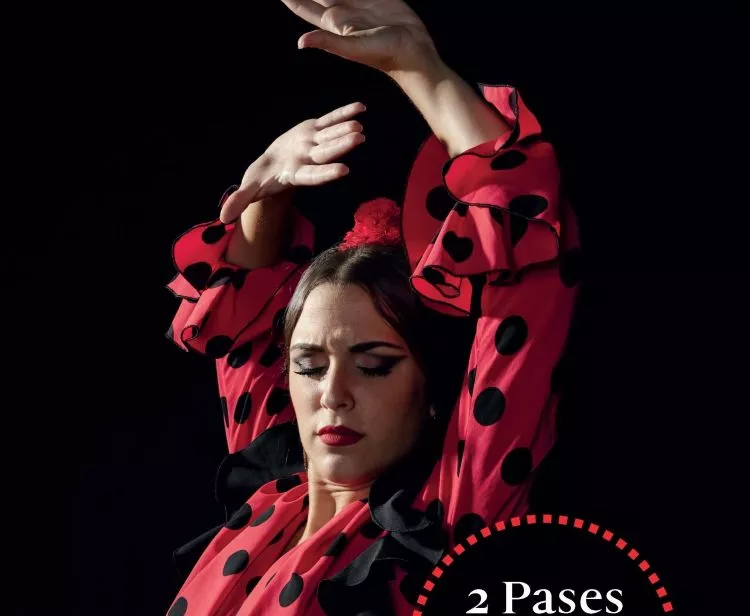 Flamenco Andalusí 