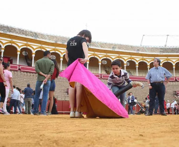 Triana y Plaza de Toros