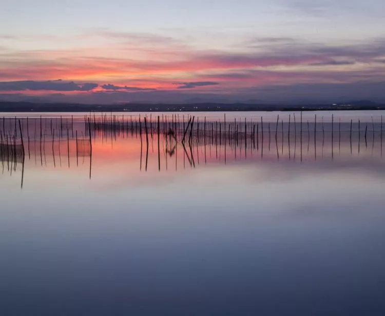 Excursión a la Albufera desde Valencia